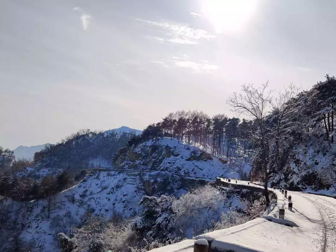 药乡国家森林公园一日游