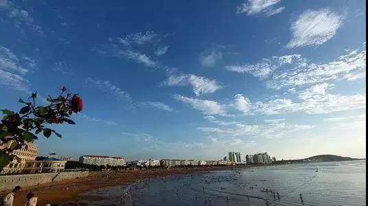 微信图片_20200515145618