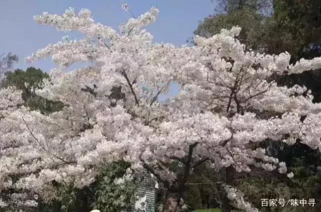 微信图片_20200515165305