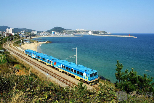 环海观光列车