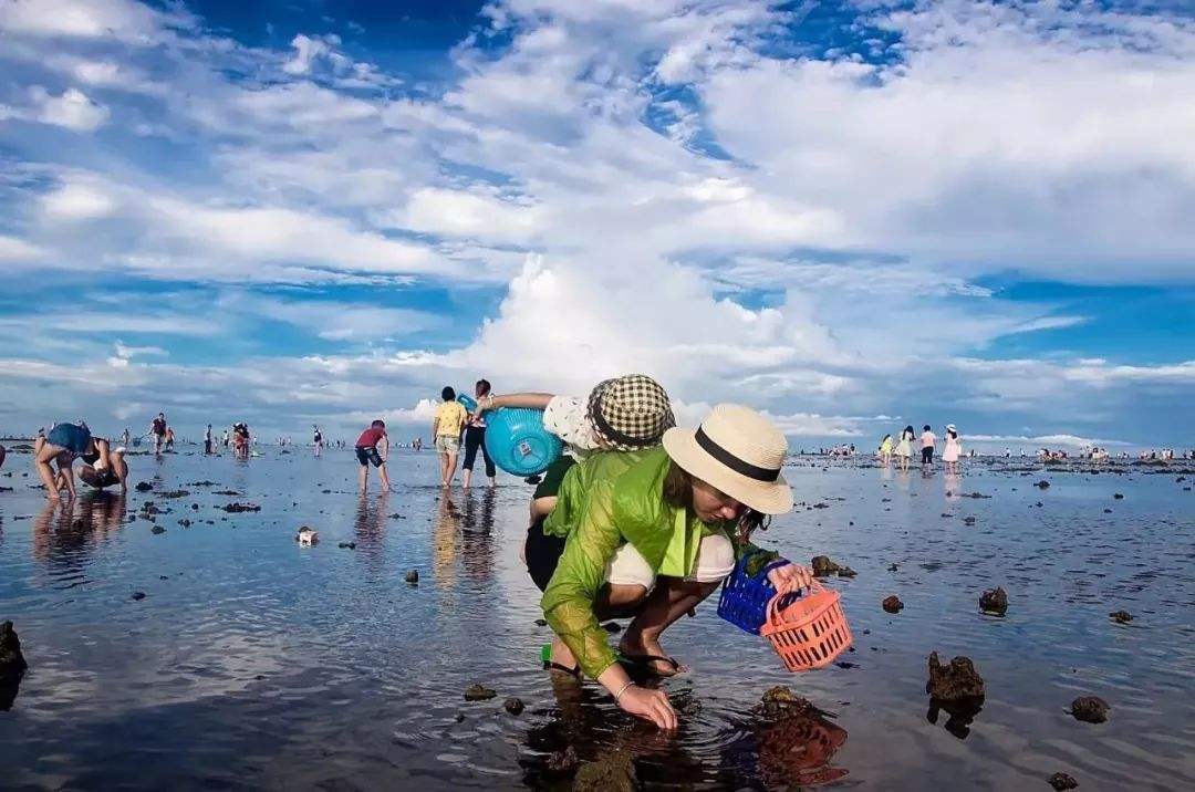 赶海