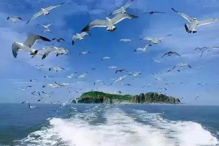 微信图片_20200615142634
