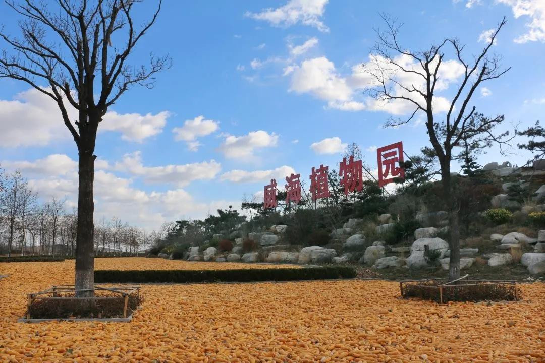 微信图片_20200615142611