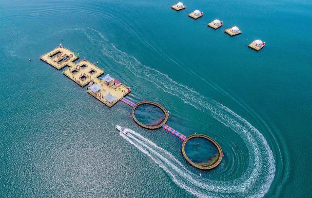海参牧场