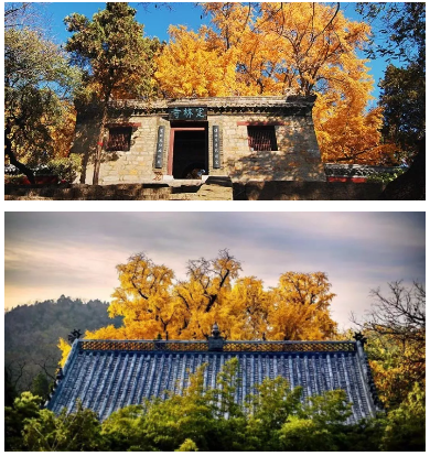 微信图片_20201027221006