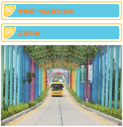 微信图片_20201027220204