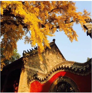 微信图片_20201027221143