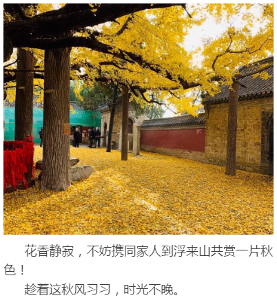 微信图片_20201027221222