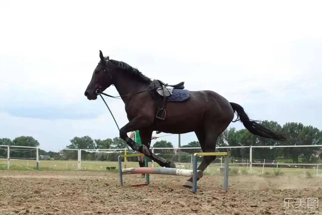 骑马