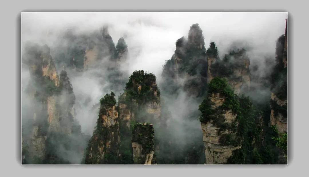 微信图片_20210727094946