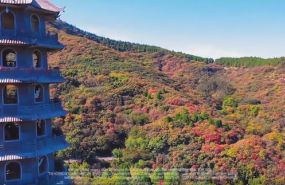 济南大明湖、趵突泉、千佛山导游服务