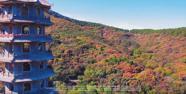 济南大明湖、趵突泉、千佛山导游服务