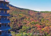 济南大明湖、趵突泉、千佛山导游服务