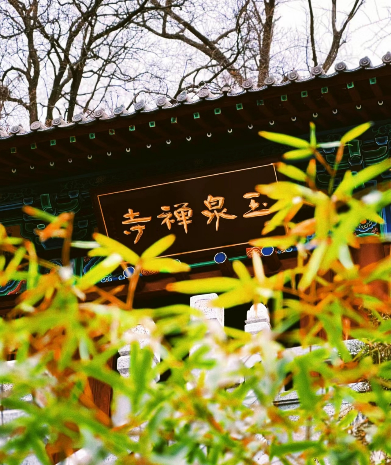 众悦旅游-玉泉寺09
