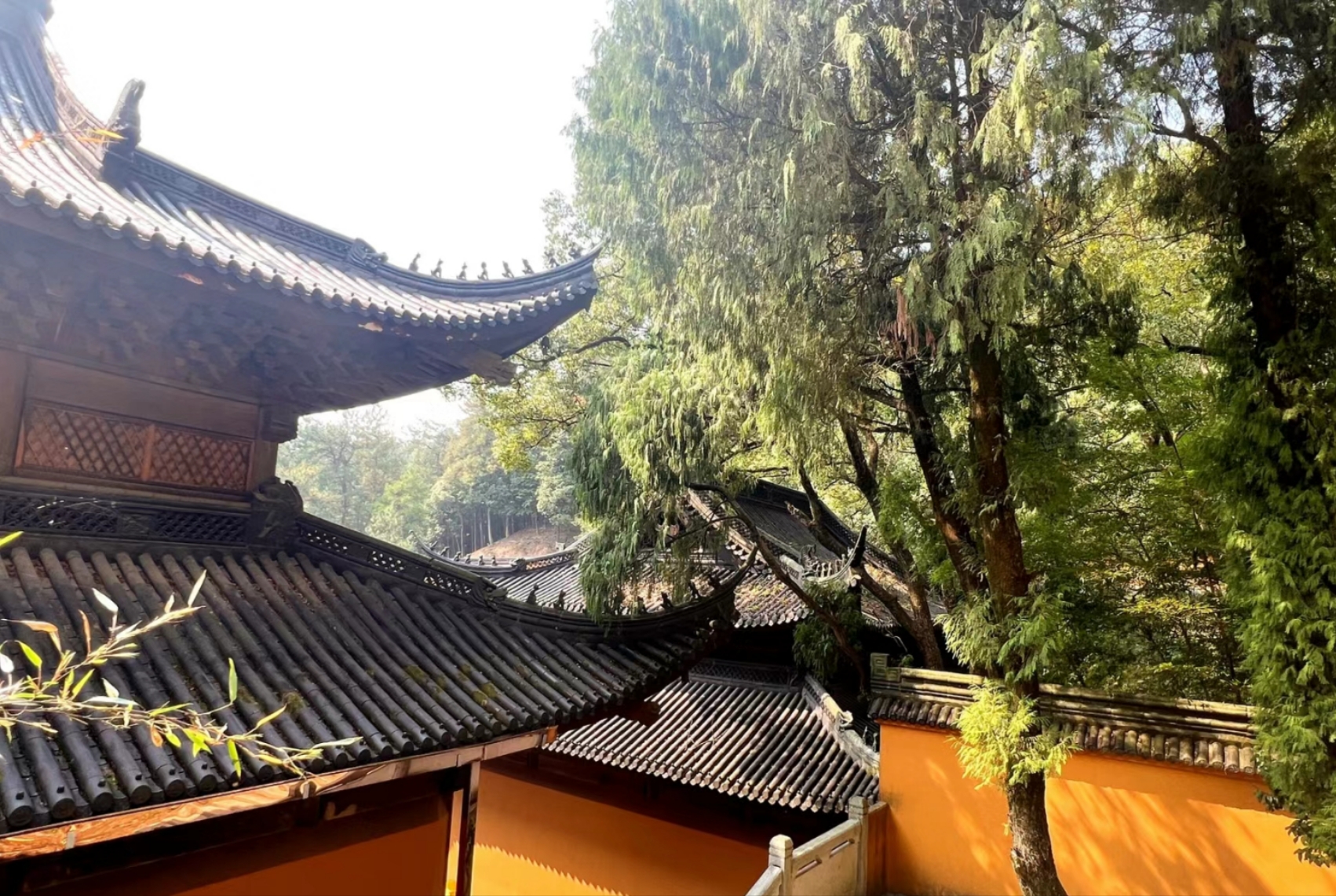 众悦旅游-玉泉寺04