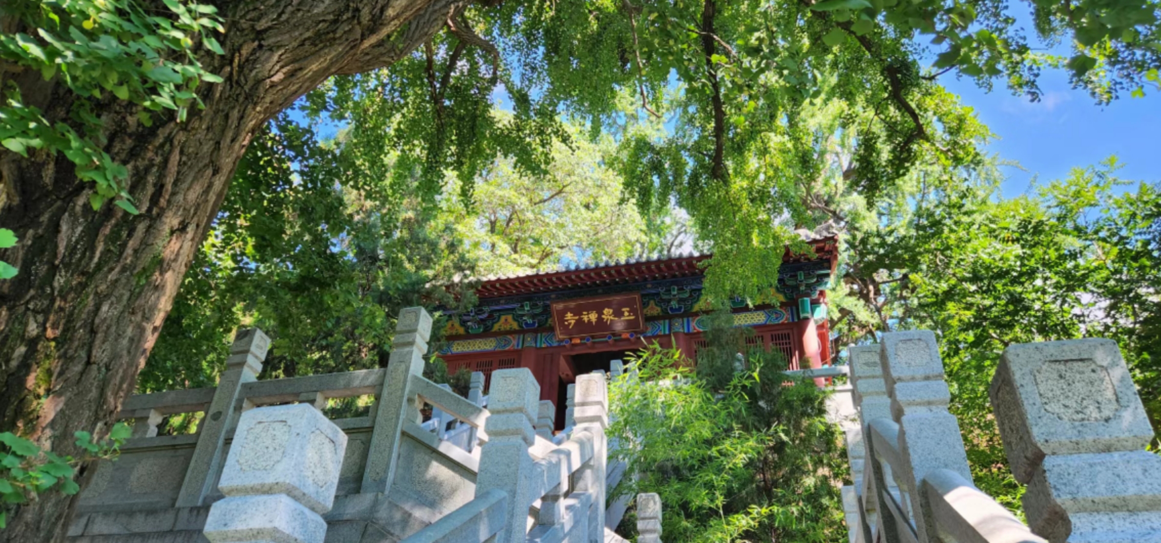 众悦旅游-玉泉寺05