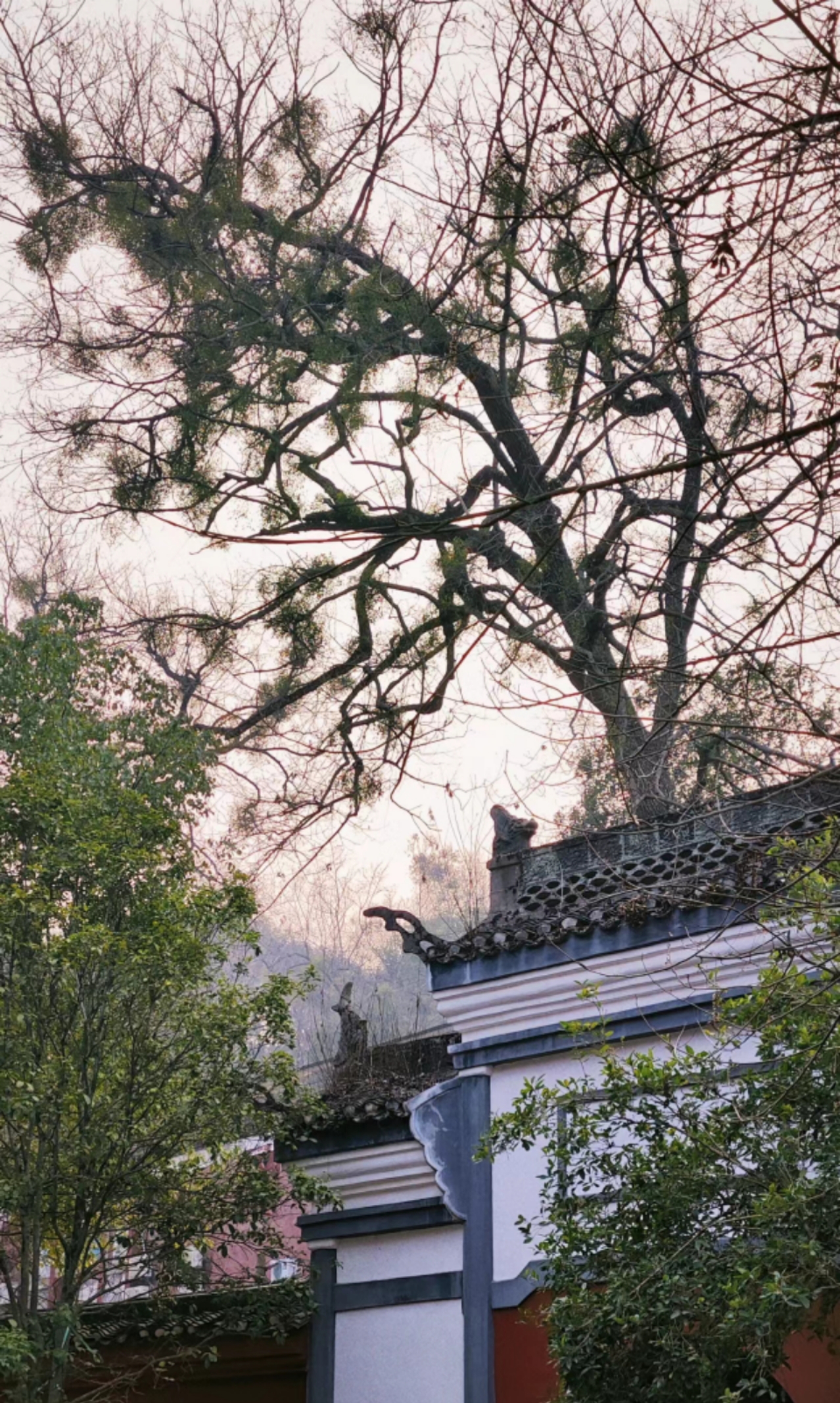 众悦旅游-玉泉寺02
