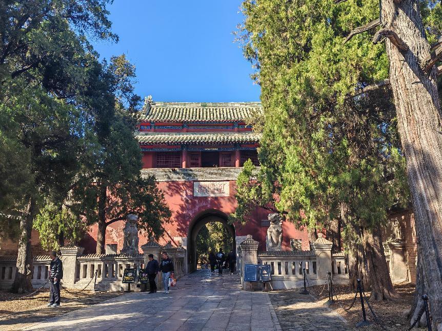 图片2