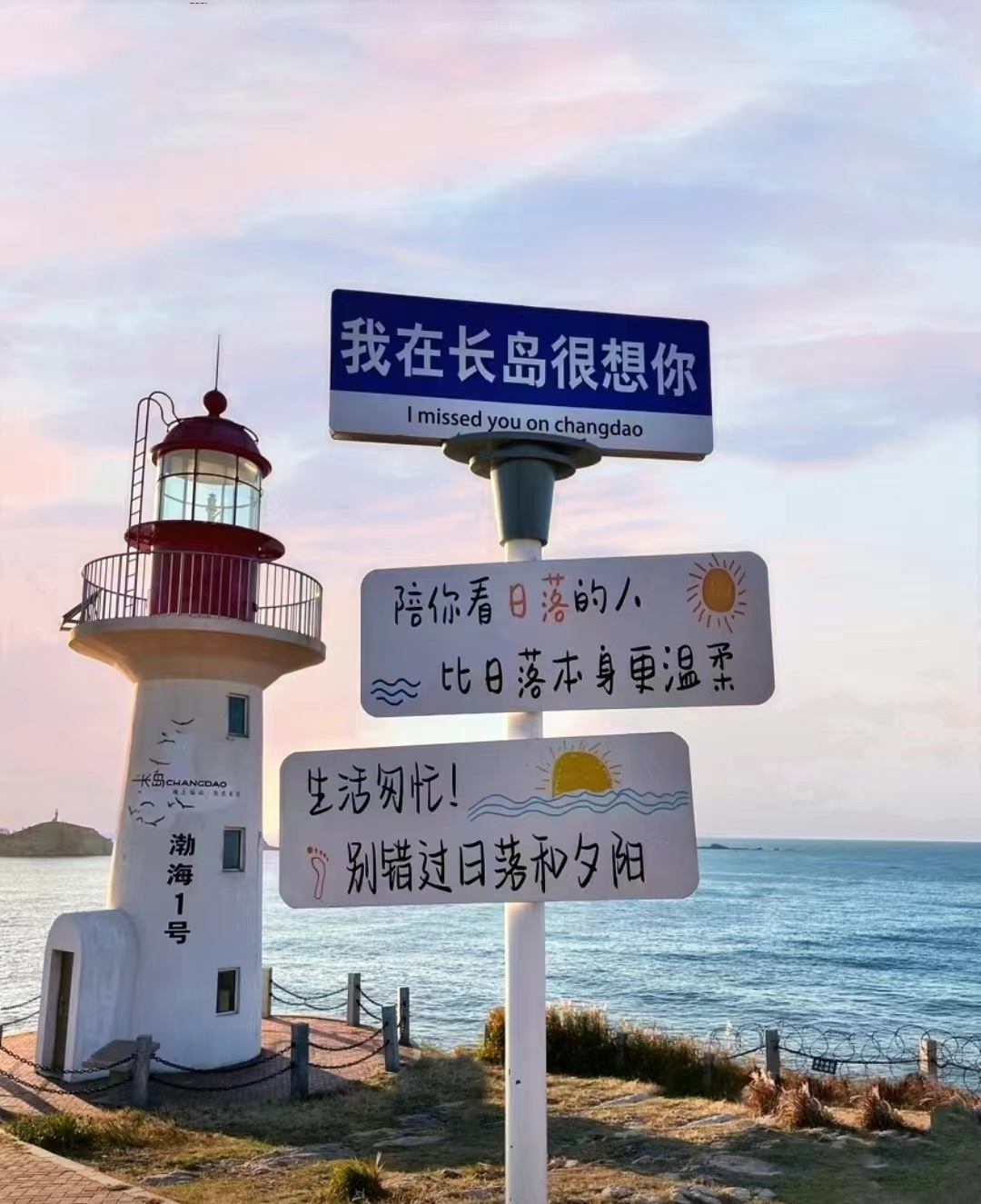 众悦-烟台养马岛03