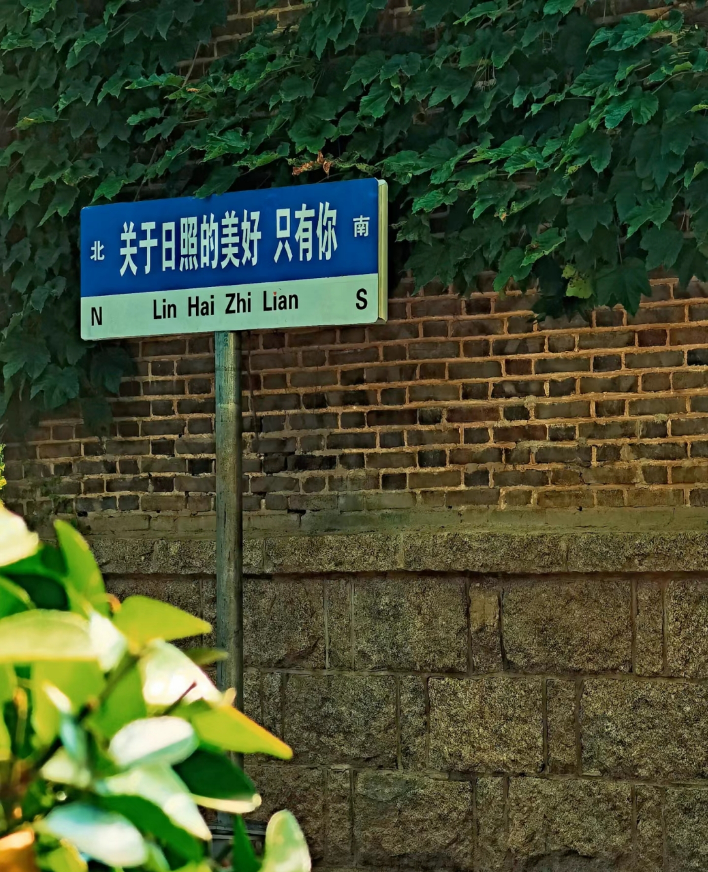 众悦-海滨森林公园10