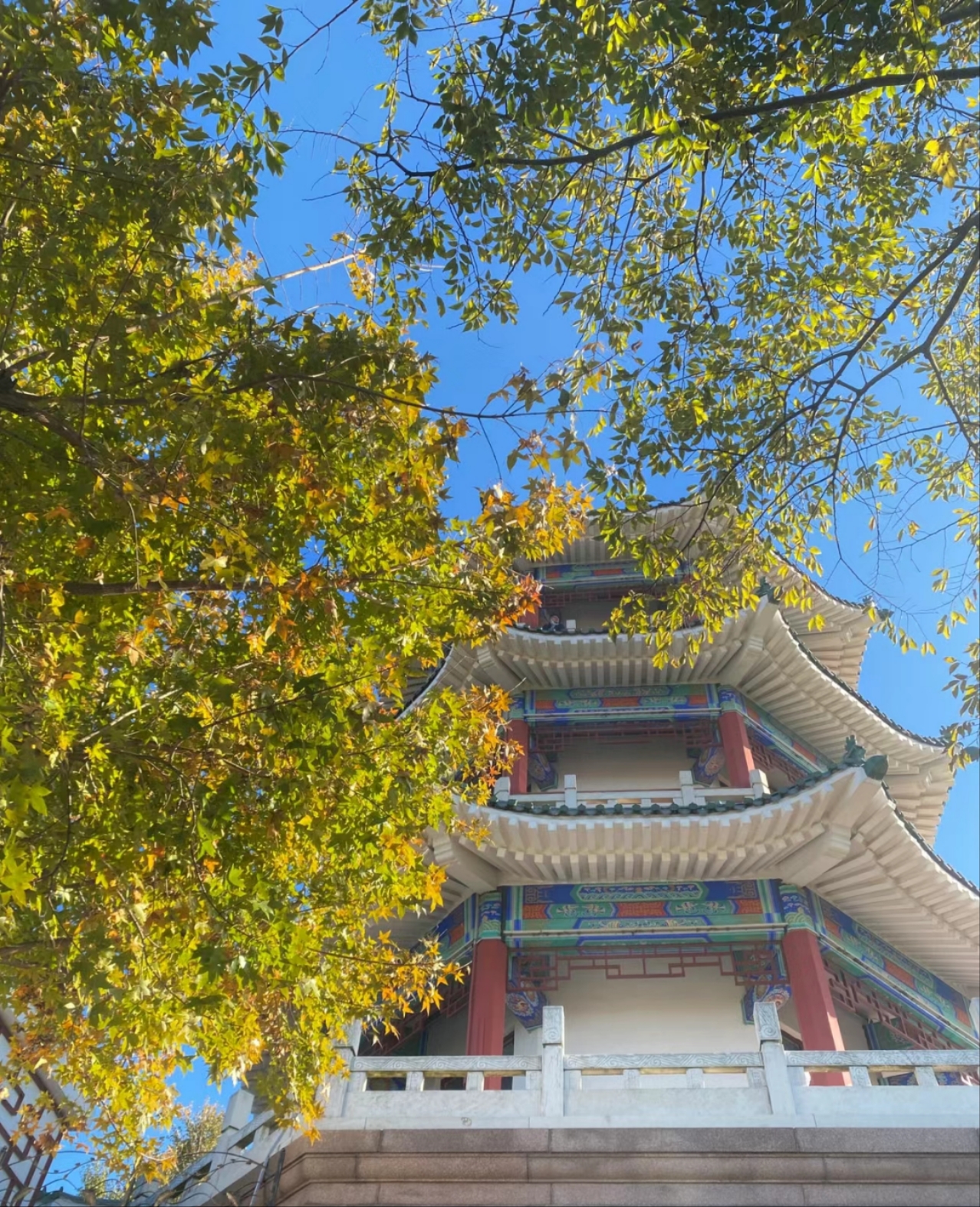 众悦-小鱼山06