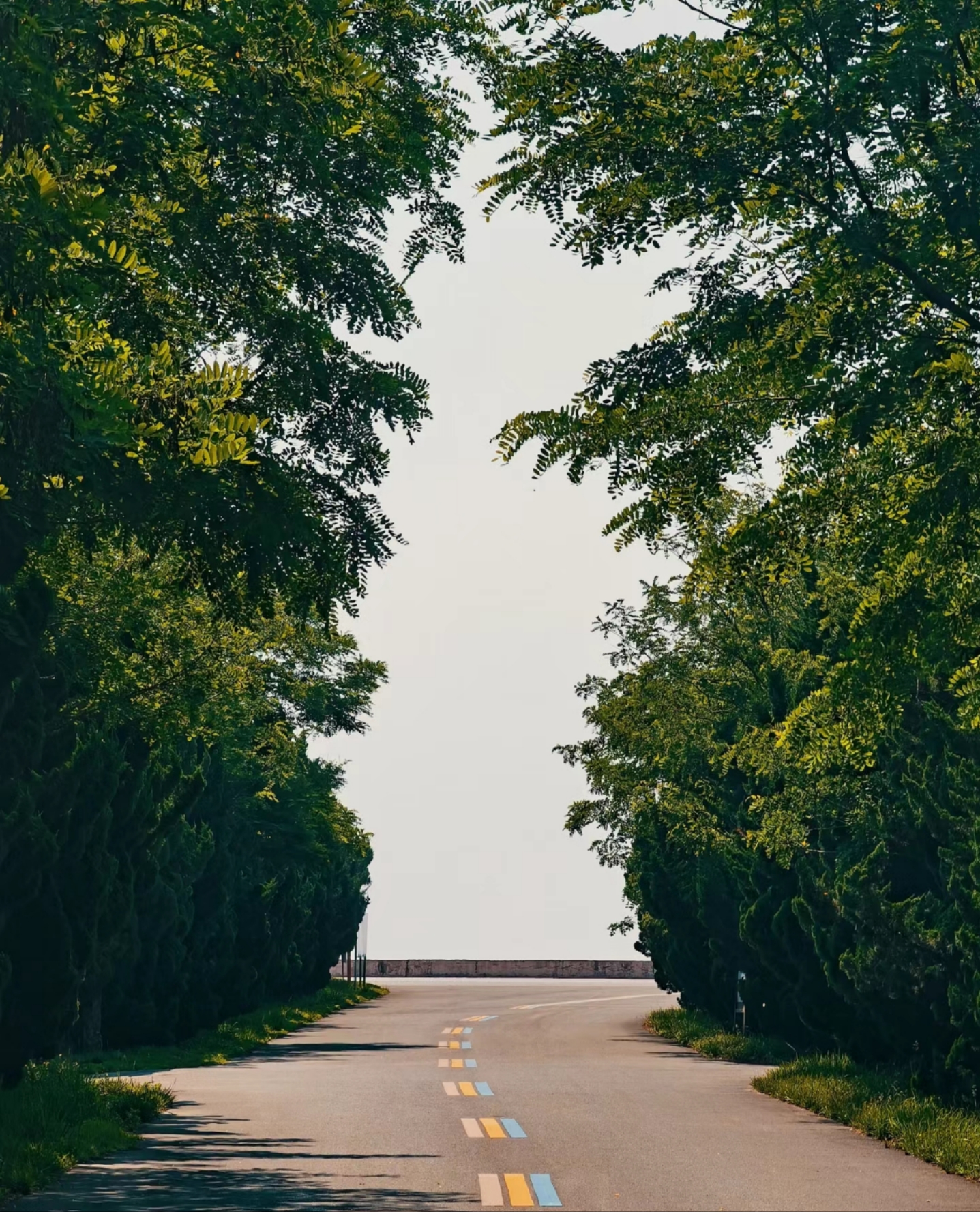 众悦-海滨森林公园04