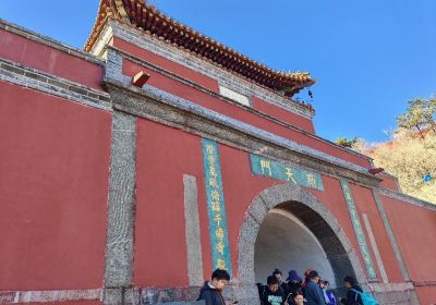 探索泰山之美：山东众悦旅游直通车与拼巴客运助你轻松出行
