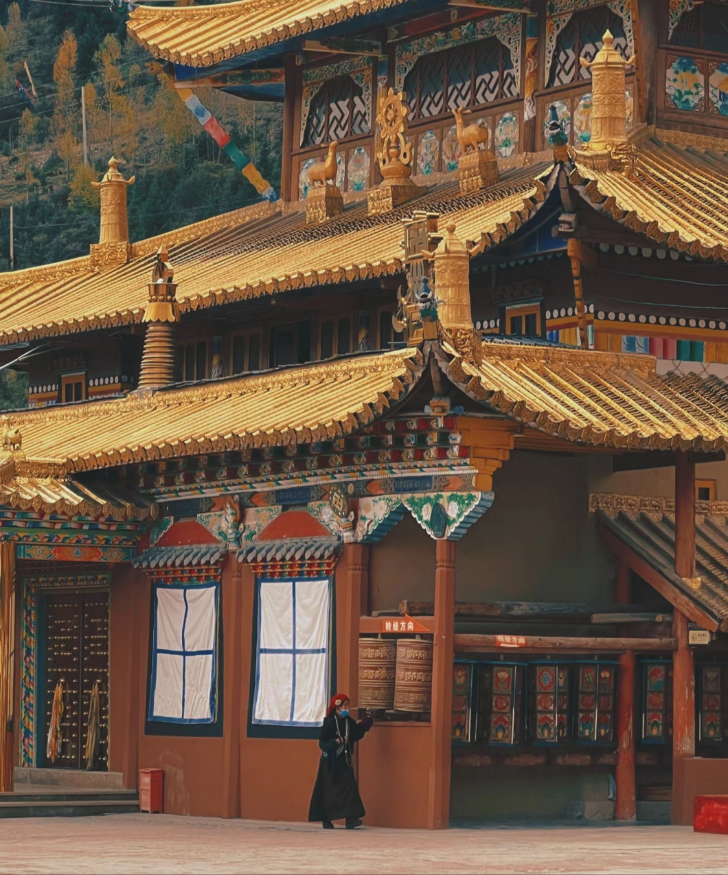 众悦-川主寺02