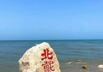 北戴河值得去吗？探寻山东众悦旅游直通车、拼巴客运出行小程序和山东众悦旅游小程序的旅游之旅