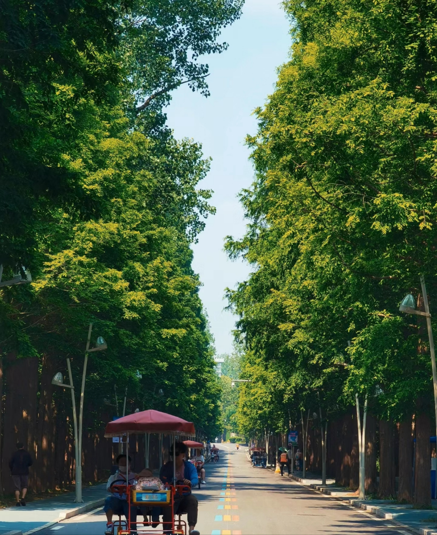 众悦-海滨森林公园03