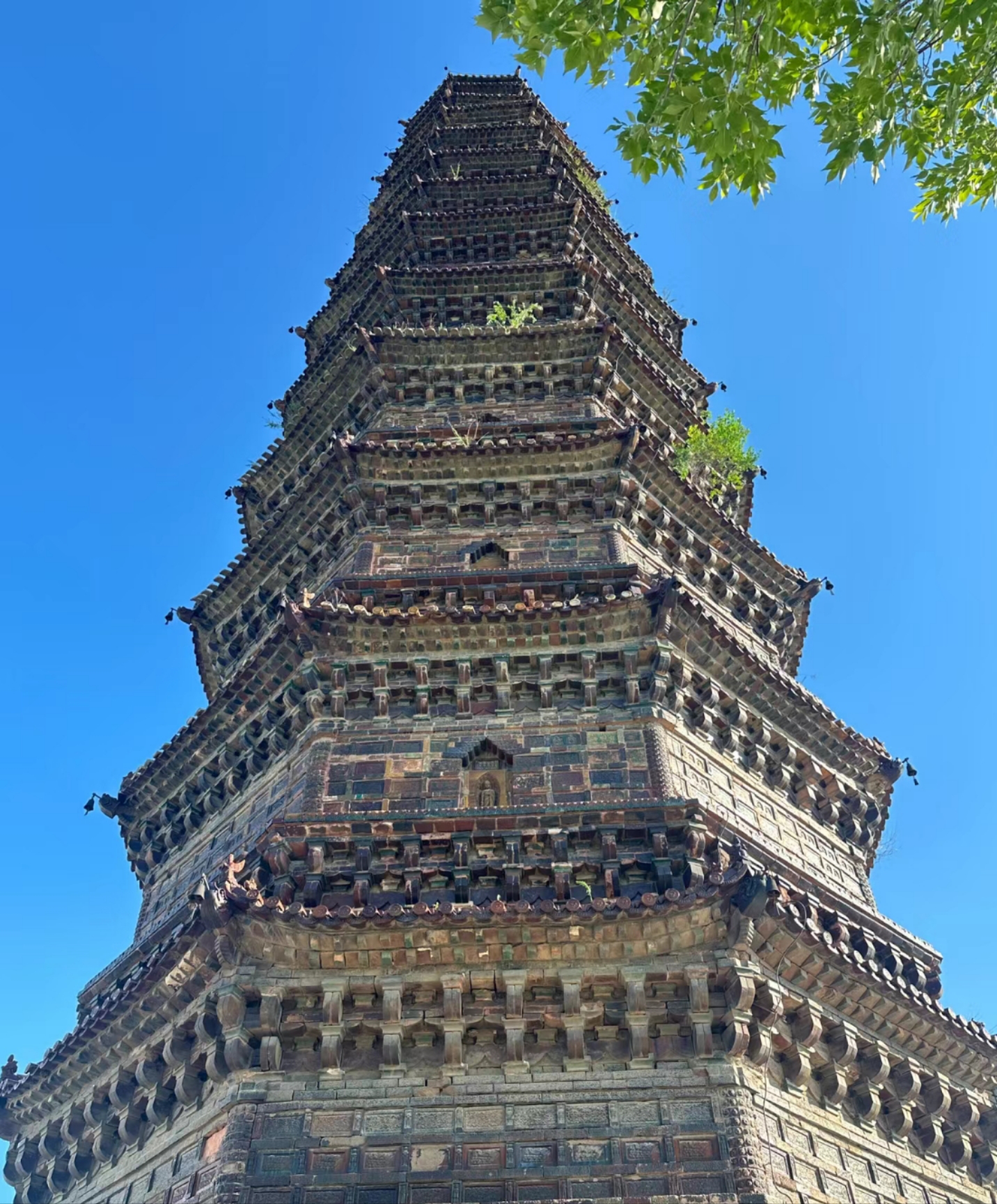 众悦-铁塔公园02