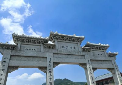 探秘嵩山少林寺：山东众悦旅游直通车带您畅游武林圣地
