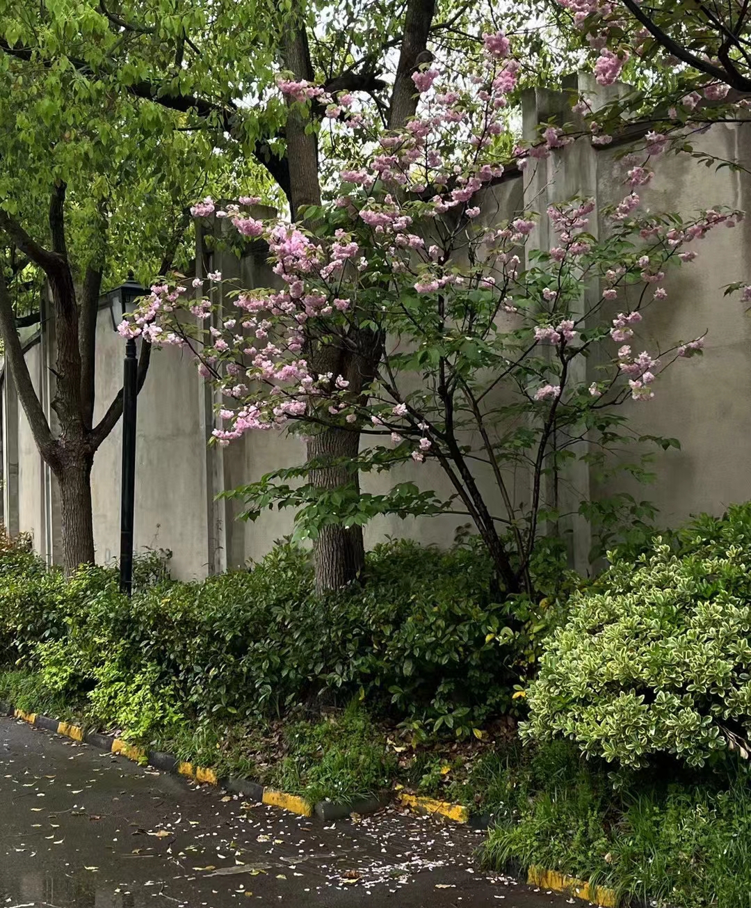 众悦-寒山古寺01