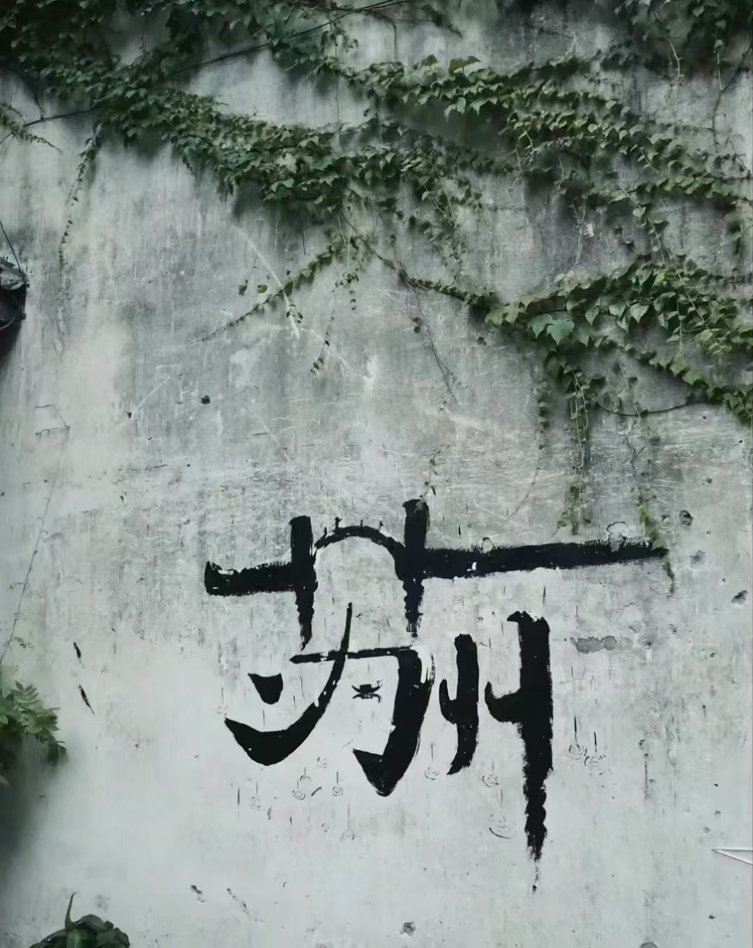 众悦-平江路03