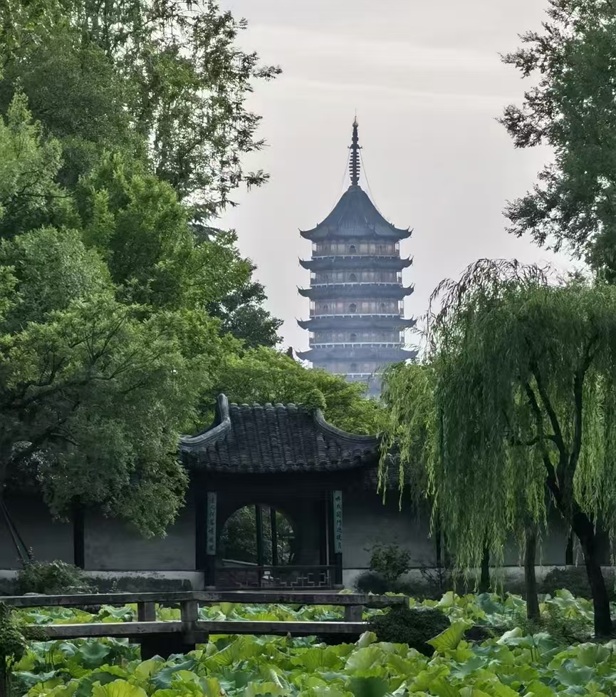 众悦-拙政园03