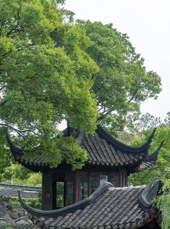 众悦-拙政园02
