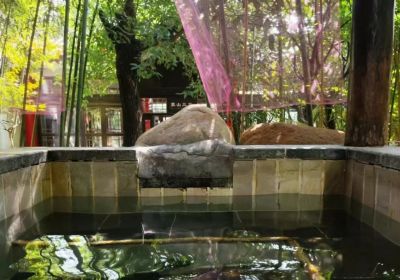 知春湖温泉的乐趣：山东众悦旅游直通车与便捷出行小程序助您畅游湖畔热泉