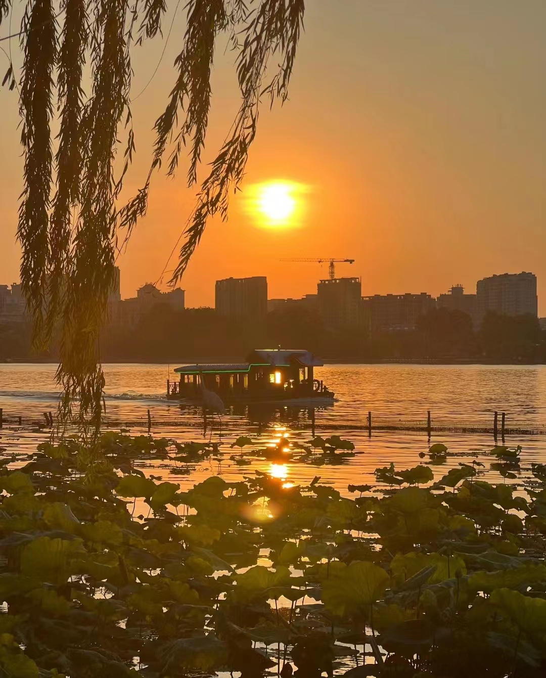 众悦-大明湖15