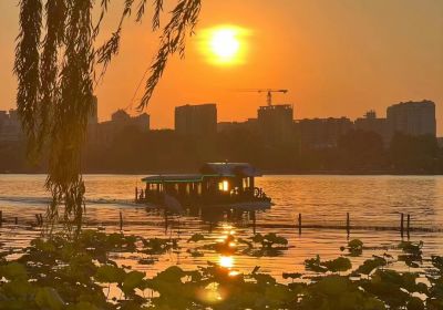 探秘泉城魅力：济南旅游景点全攻略（含出行租车与线路预订指南）