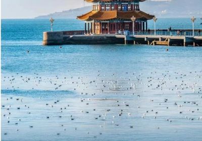 畅游海滨之城：青岛旅游好玩的地方推荐全攻略（含交通+租车+行程预订指南）