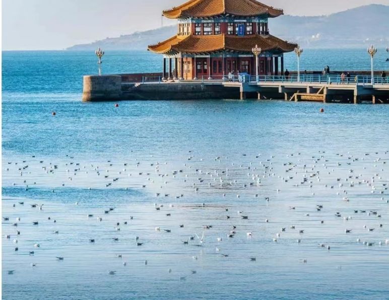 畅游海滨之城：青岛旅游好玩的地方推荐全攻略（含交通+租车+行程预订指南）