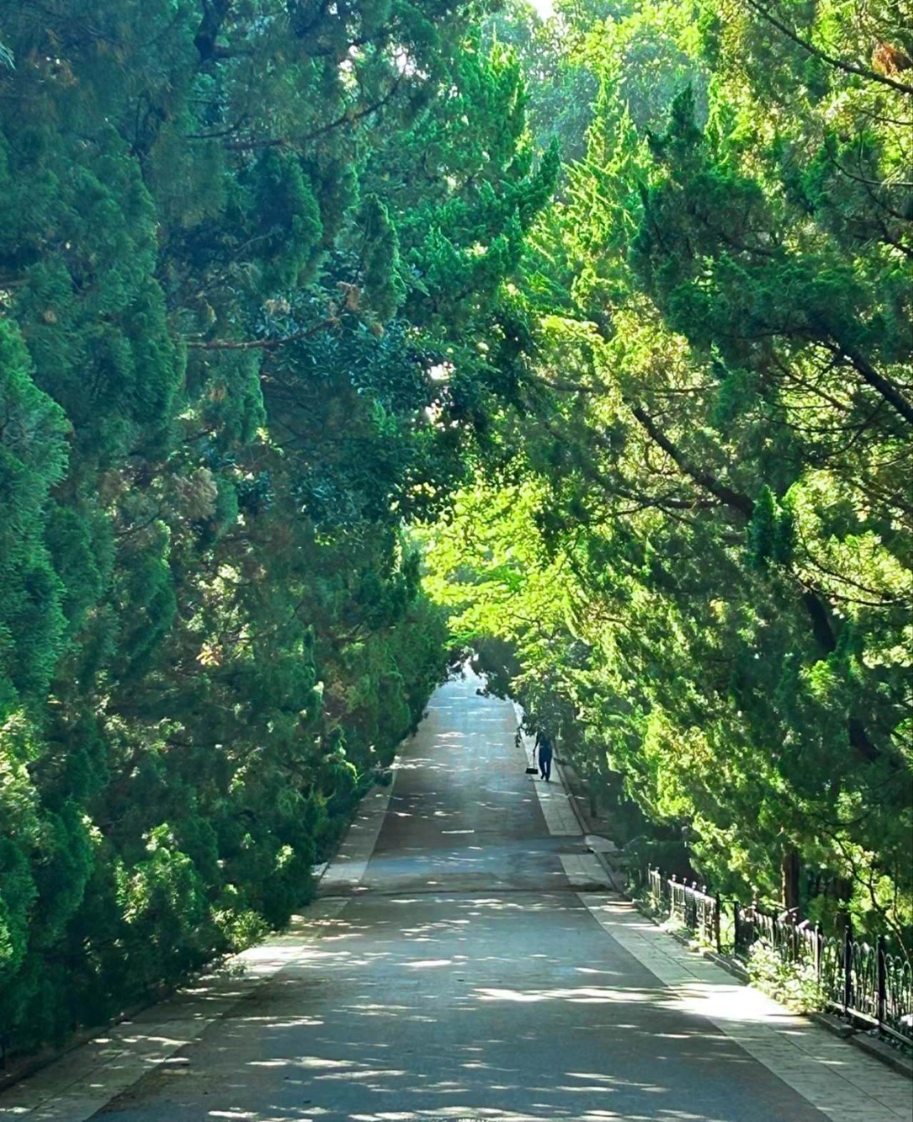 众悦-八大关04