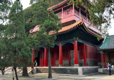 曲阜旅游攻略：深度游与便利出行全攻略
