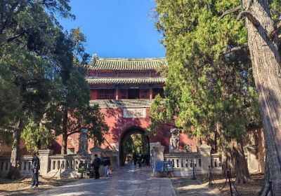 曲阜旅游必去的景点有哪些？这篇攻略带你一次玩透“三孔”与千年古城