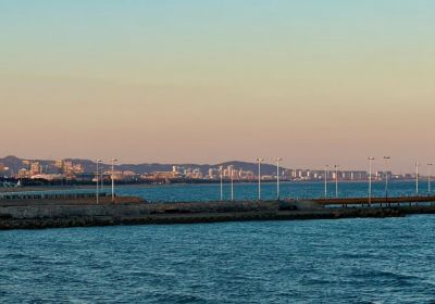 日照一日游：畅游海滨城市，享受悠闲假期