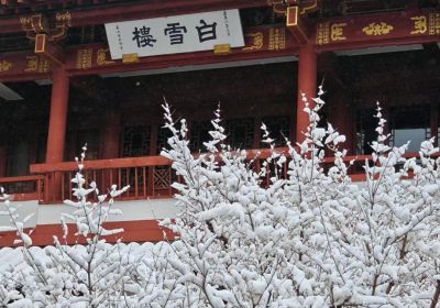 济南旅游什么季节好？四季风光全解析 + 高效出行工具推荐！
