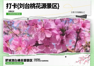 肥城桃花专线来了！山东众悦旅游直通车带你畅游花海