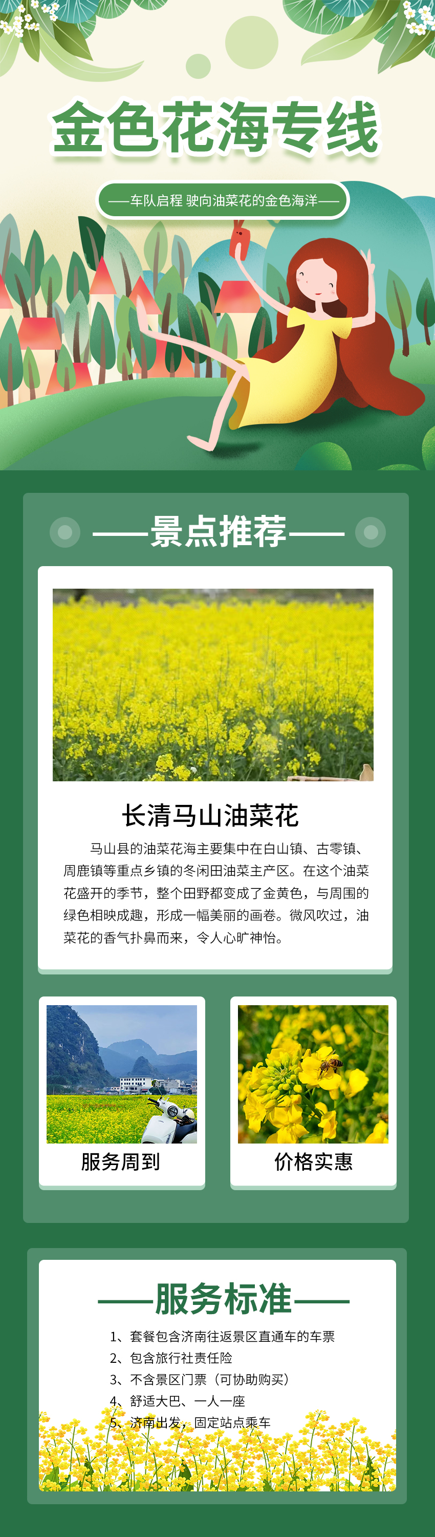 油菜花长图
