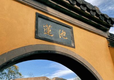 畅游山东日照：海岸风光与便捷出行的完美结合指南
