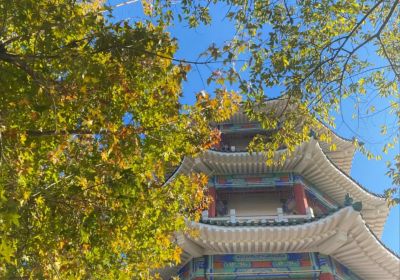 青岛旅游攻略：必玩景点全指南（含交通&线路预订推荐）